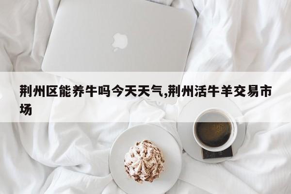 荆州区能养牛吗今天天气,荆州活牛羊交易市场 第1张