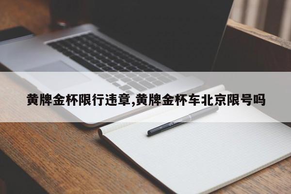 黄牌金杯限行违章,黄牌金杯车北京限号吗 第1张