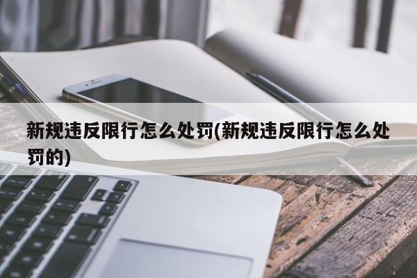 新规违反限行怎么处罚(新规违反限行怎么处罚的) 第1张