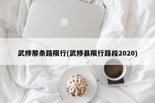 武陟那条路限行(武陟县限行路段2020) 第1张