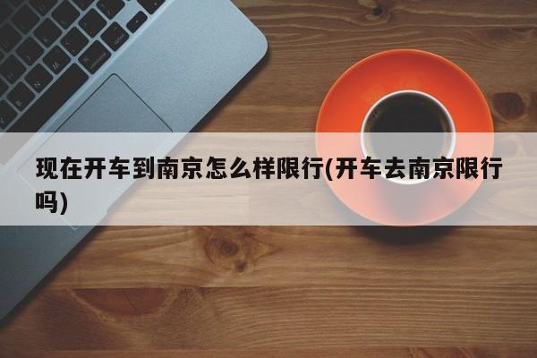 现在开车到南京怎么样限行(开车去南京限行吗) 第1张