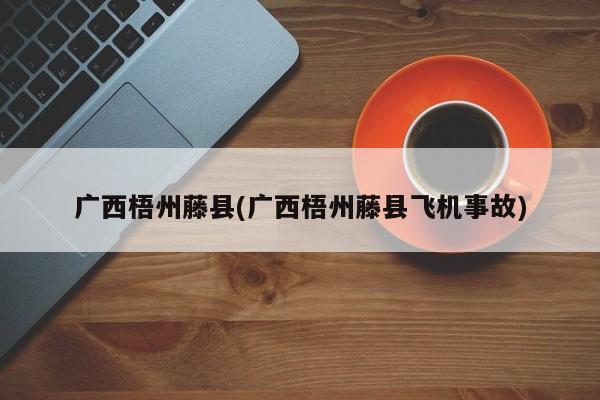 广西梧州藤县(广西梧州藤县飞机事故)
