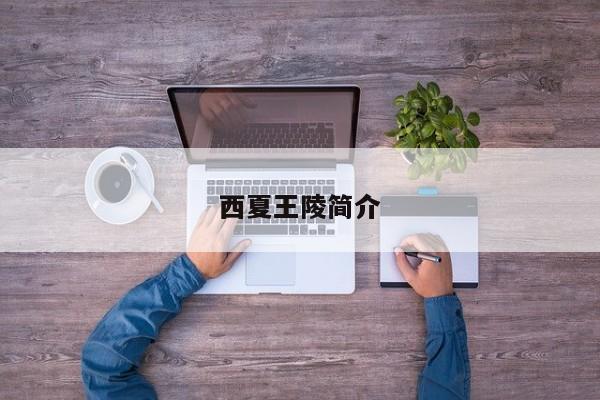 西夏王陵简介