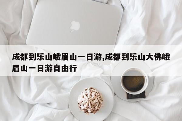 成都到乐山峨眉山一日游,成都到乐山大佛峨眉山一日游自由行