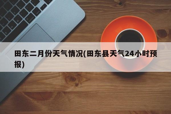 田东二月份天气情况(田东县天气24小时预报) 第1张
