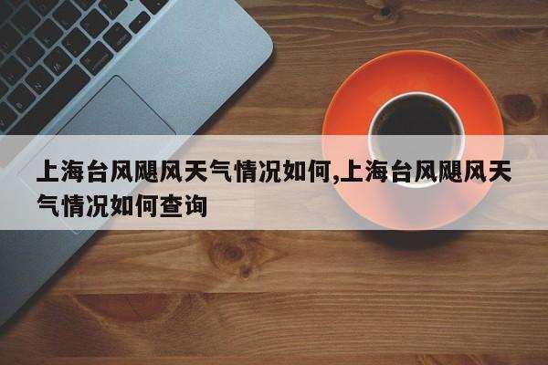 上海台风飓风天气情况如何,上海台风飓风天气情况如何查询 第1张