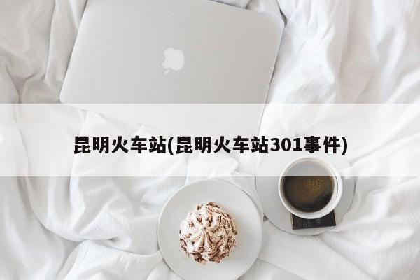 昆明火车站(昆明火车站301事件) 第1张