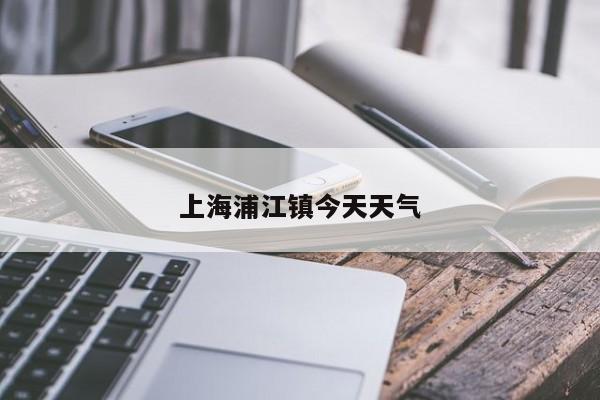 上海浦江镇今天天气 第1张