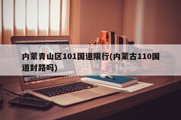 内蒙青山区101国道限行(内蒙古110国道封路吗)