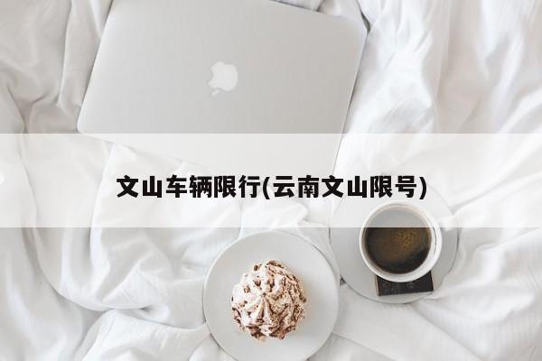 文山车辆限行(云南文山限号)