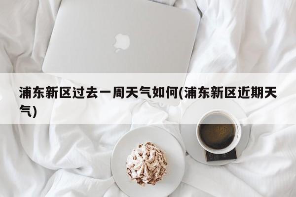 浦东新区过去一周天气如何(浦东新区近期天气) 第1张