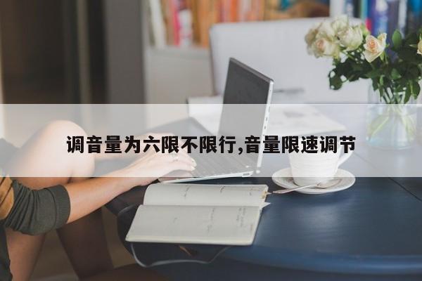 调音量为六限不限行,音量限速调节
