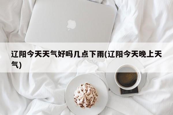 辽阳今天天气好吗几点下雨(辽阳今天晚上天气)